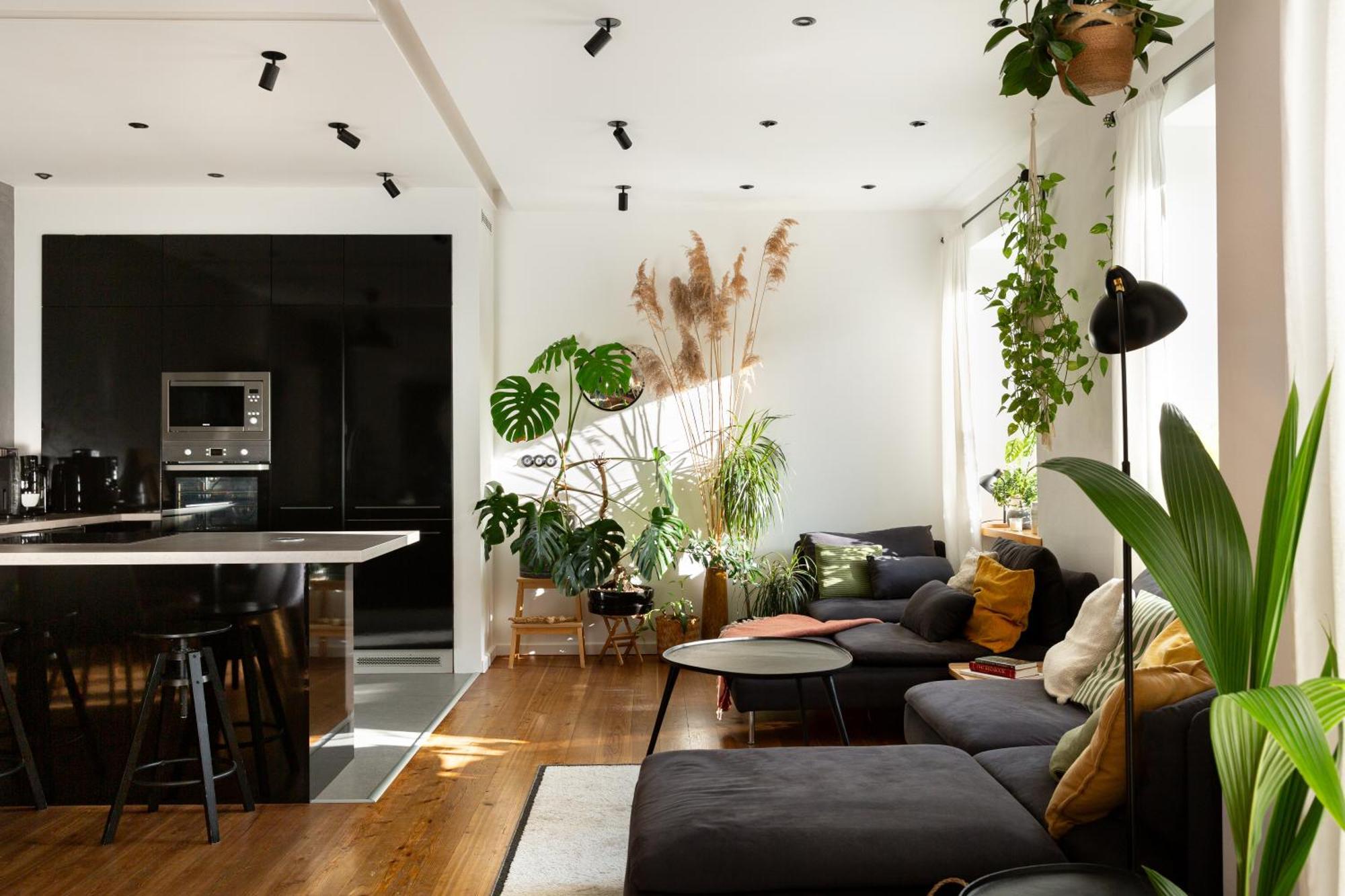 Evergreen - Old Town Spacious Stylish Apartment With Ac And One And A Half Bath, Baby & Kid- Friendly Pressburg Exterior foto