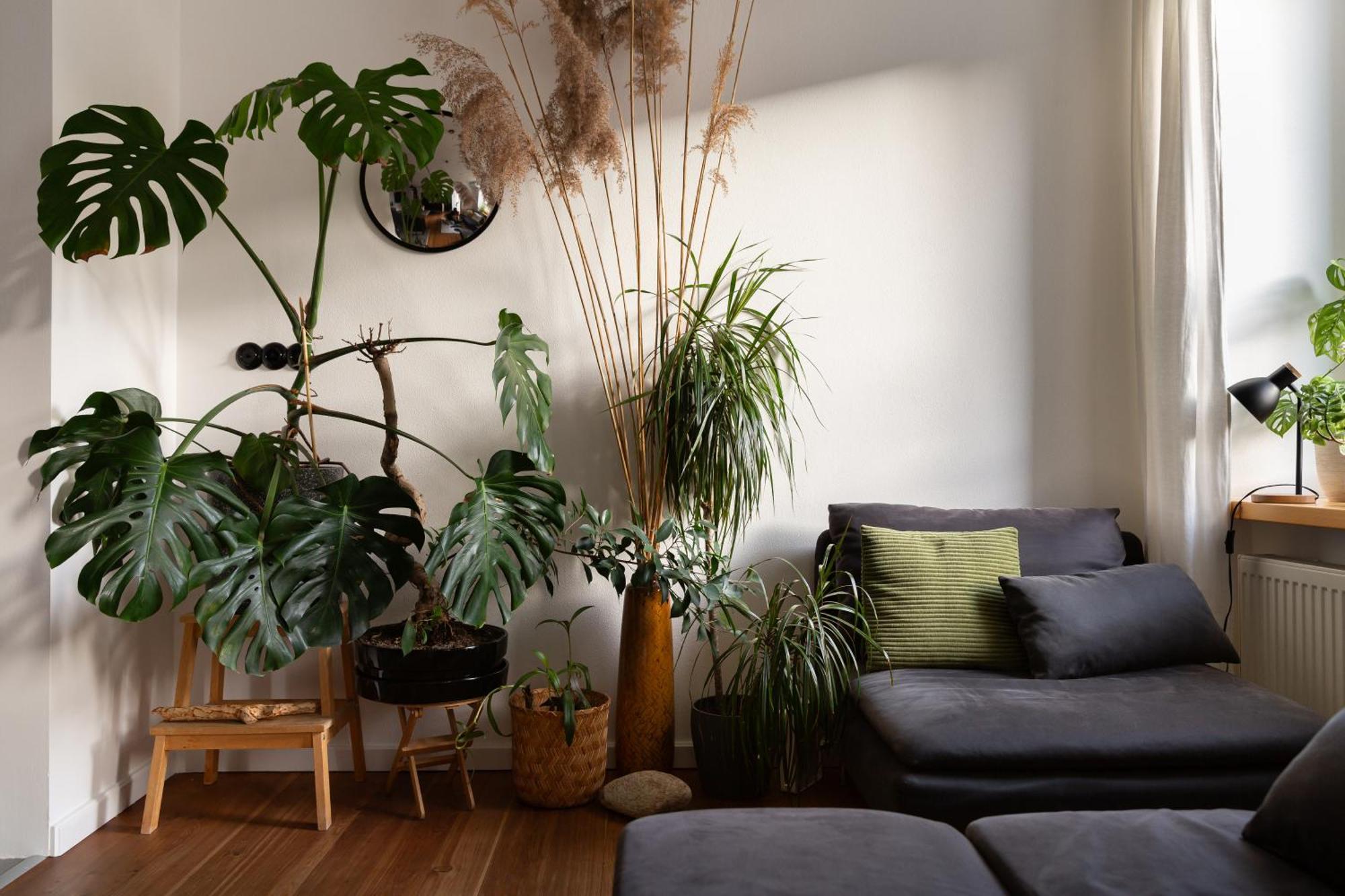 Evergreen - Old Town Spacious Stylish Apartment With Ac And One And A Half Bath, Baby & Kid- Friendly Pressburg Exterior foto