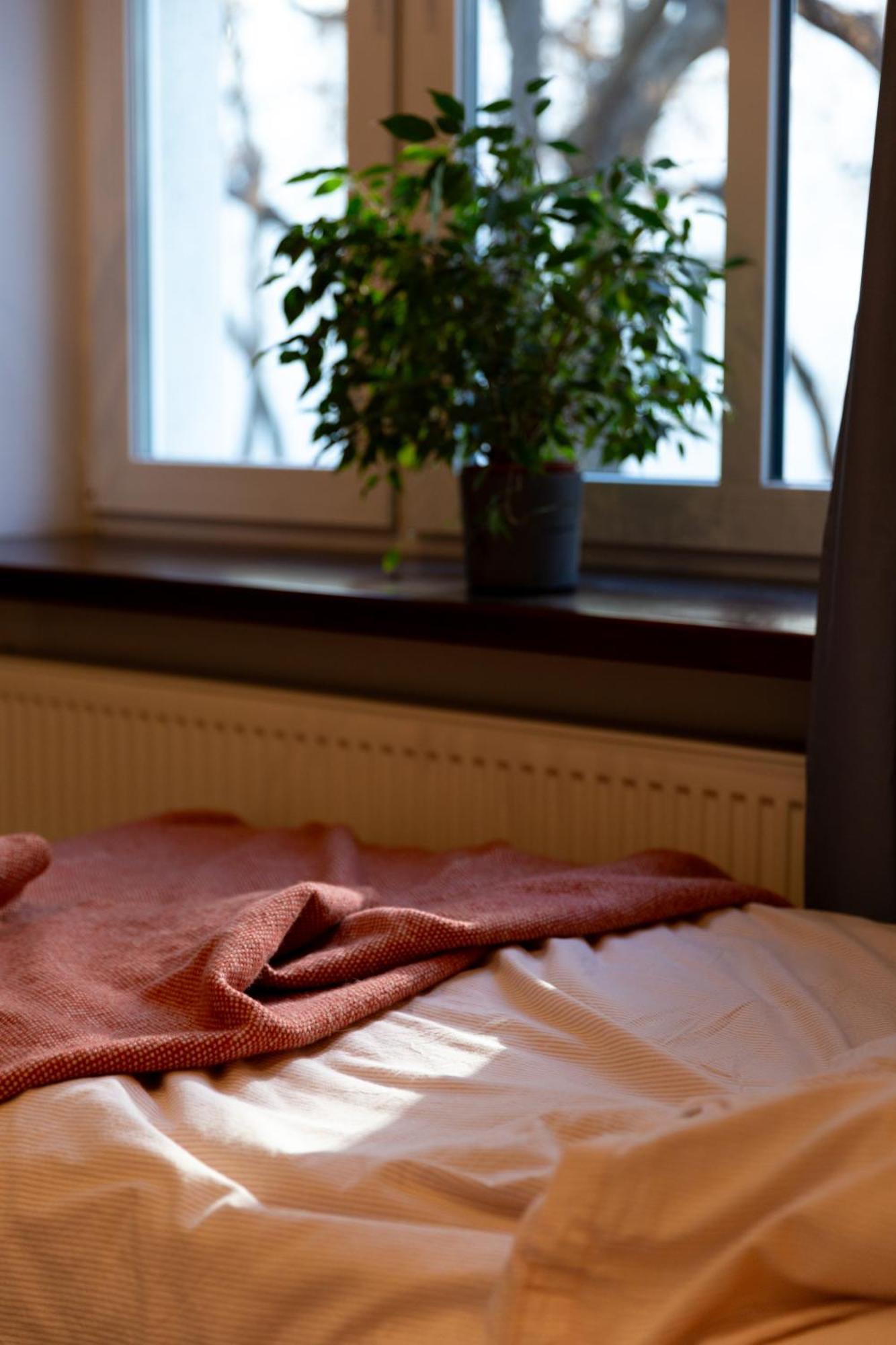 Evergreen - Old Town Spacious Stylish Apartment With Ac And One And A Half Bath, Baby & Kid- Friendly Pressburg Exterior foto