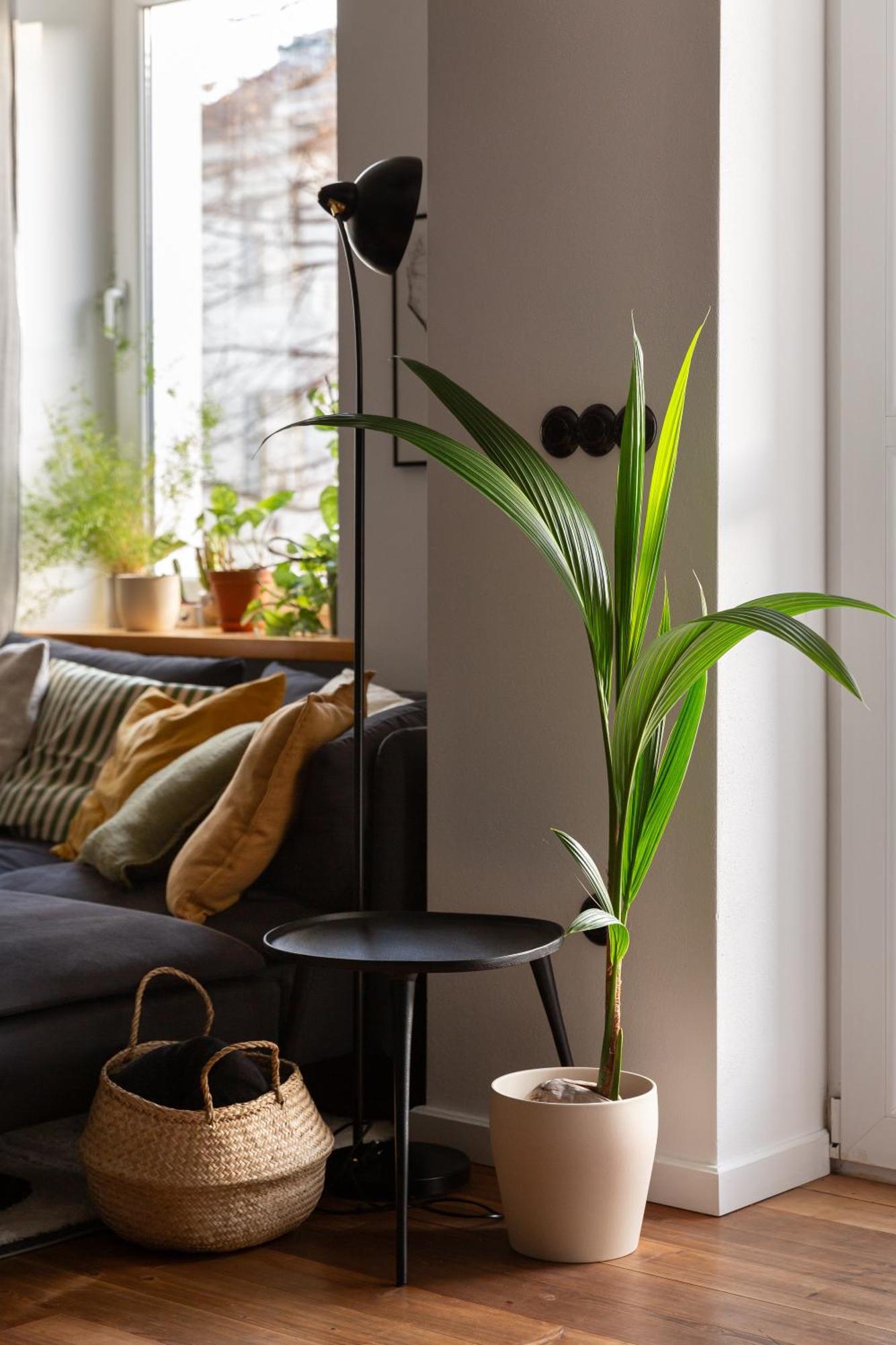 Evergreen - Old Town Spacious Stylish Apartment With Ac And One And A Half Bath, Baby & Kid- Friendly Pressburg Exterior foto