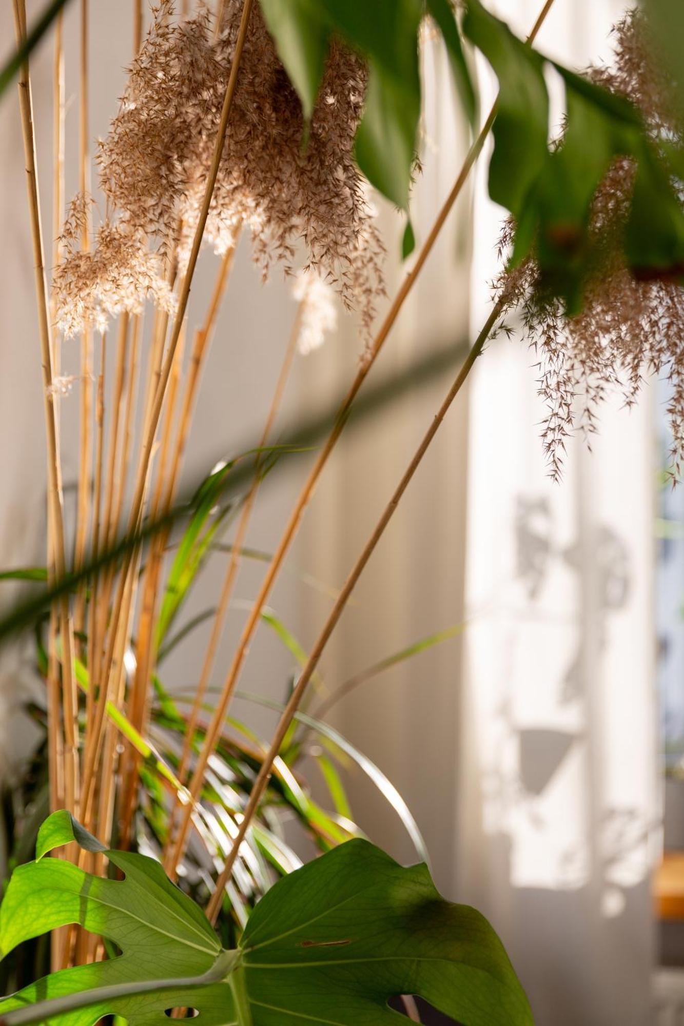 Evergreen - Old Town Spacious Stylish Apartment With Ac And One And A Half Bath, Baby & Kid- Friendly Pressburg Exterior foto